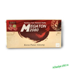 «Мегатон 2080»